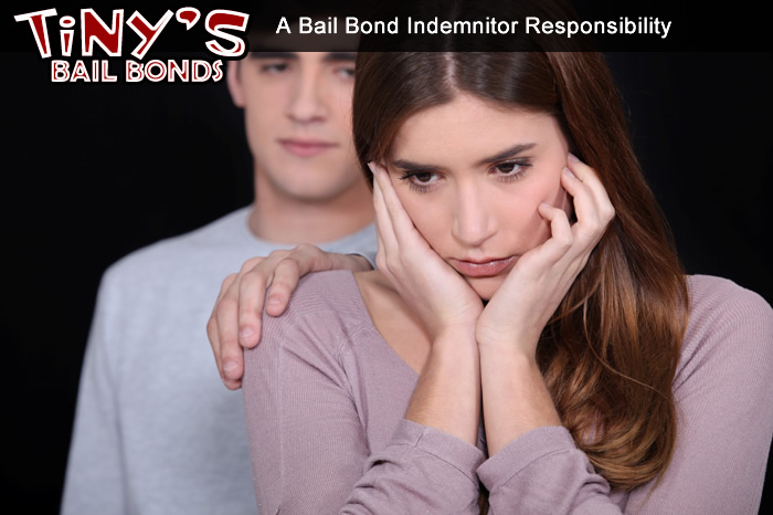 A Bail Bond Indemnitor's / Guarantor's Responsibility