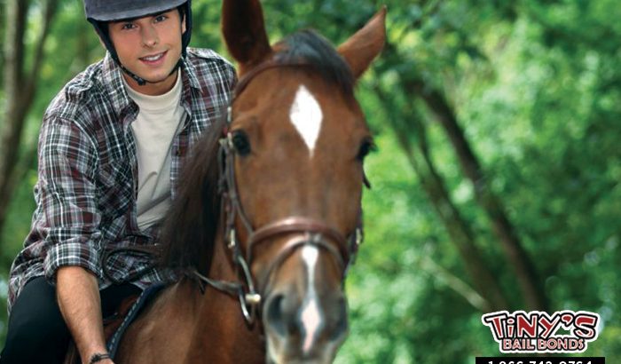 Horseback Riding Laws: Even Horses Have Laws